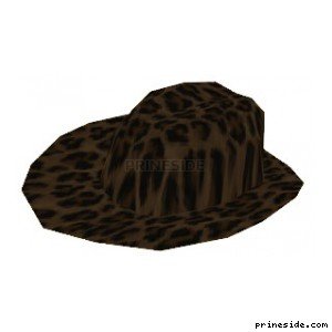 Leopard Hat