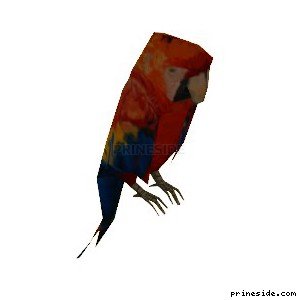 Parrot