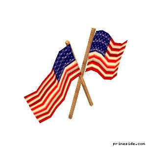 USA Flags